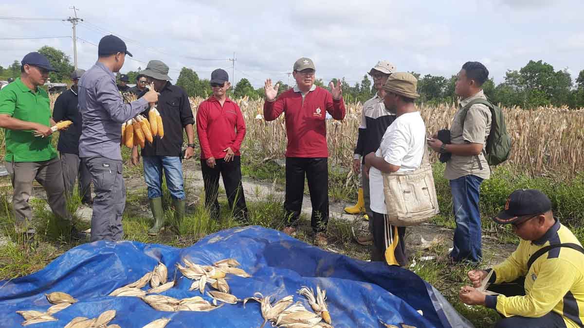 Bupati Sarankan ASN Beltim Beli Hasil Pertanian Danau Nujau, Dukung Ketahanan Pangan Daerah