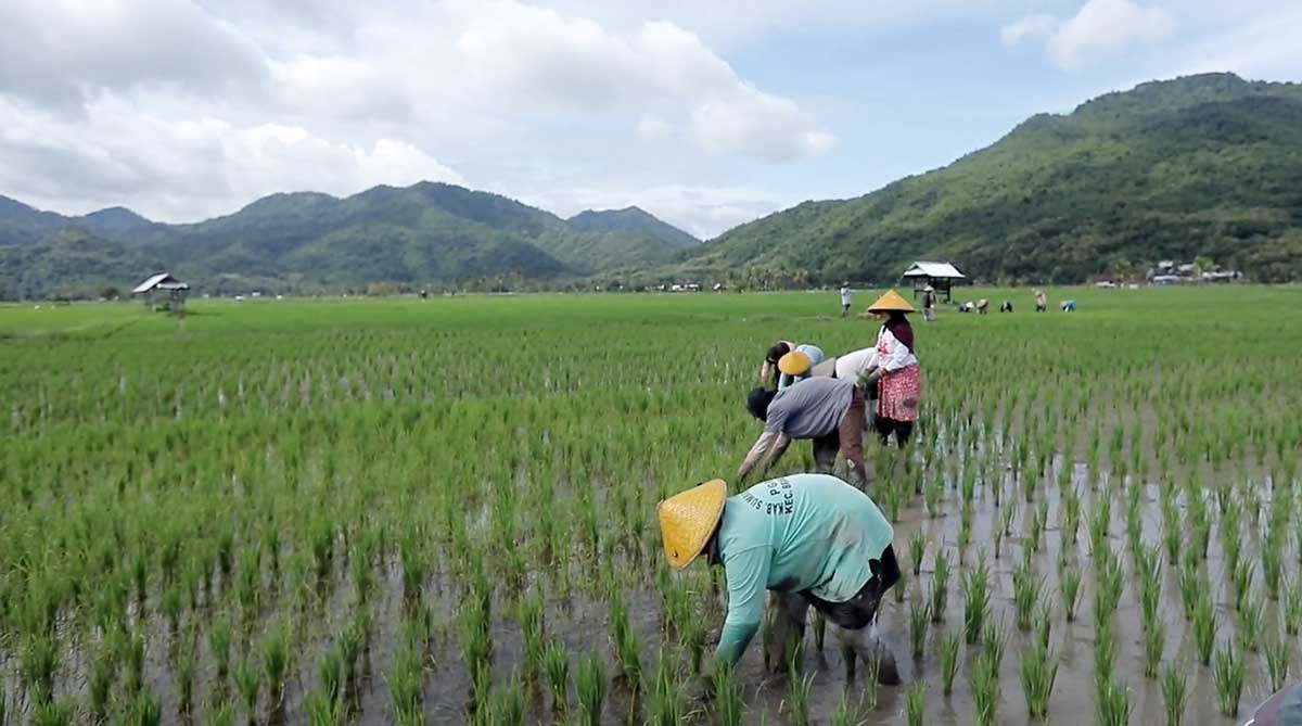Desa Manemeng Perkuat Ekonomi Kerakyatan, Tumbuh Lewat Program Desa BRILiaN BRI