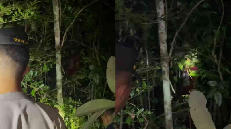 BREAKING NEWS: Heboh, Penemuan Mayat Tergantung di Pohon Dusun Perawas II, Ini Identitasnya