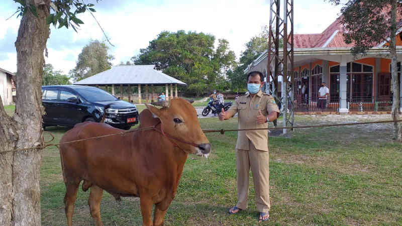 Masjid An-Nur Lenggang Terima Bantuan Hewan Kurban dari Bupati Beltim