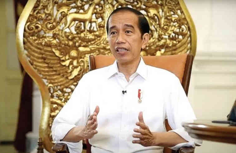 Presiden Jokowi: Porang Makanan Pokok Masa Depan
