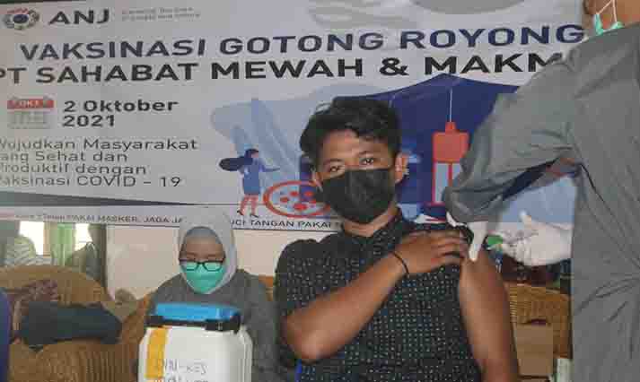 PT SMM Gelar Vaksinasi Gotong Royong Bagi Karyawan