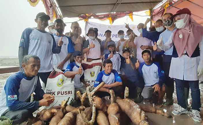 Komoditi Singkong Racun, Erzaldi: Alhamdulilllah Pabrik Sudah Jalan