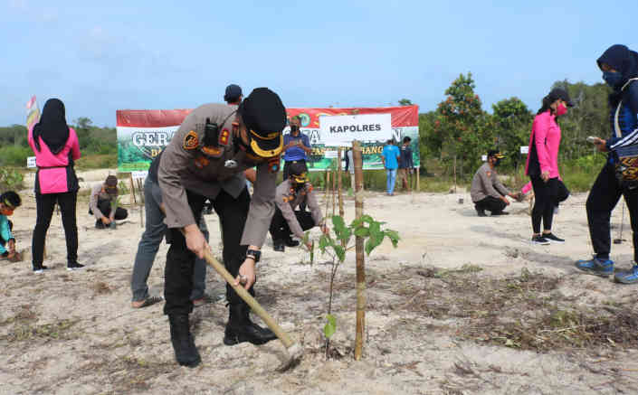 Forkopimda Belitung Tanam Ribuan Bibit Pohon di Lahan Bekas Tambang