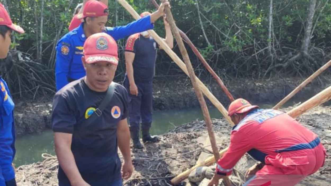 Buaya yang Ditangkap Tim Damkar BPBD Belitung Akhirnya Dilepasliarkan ke Habitatnya