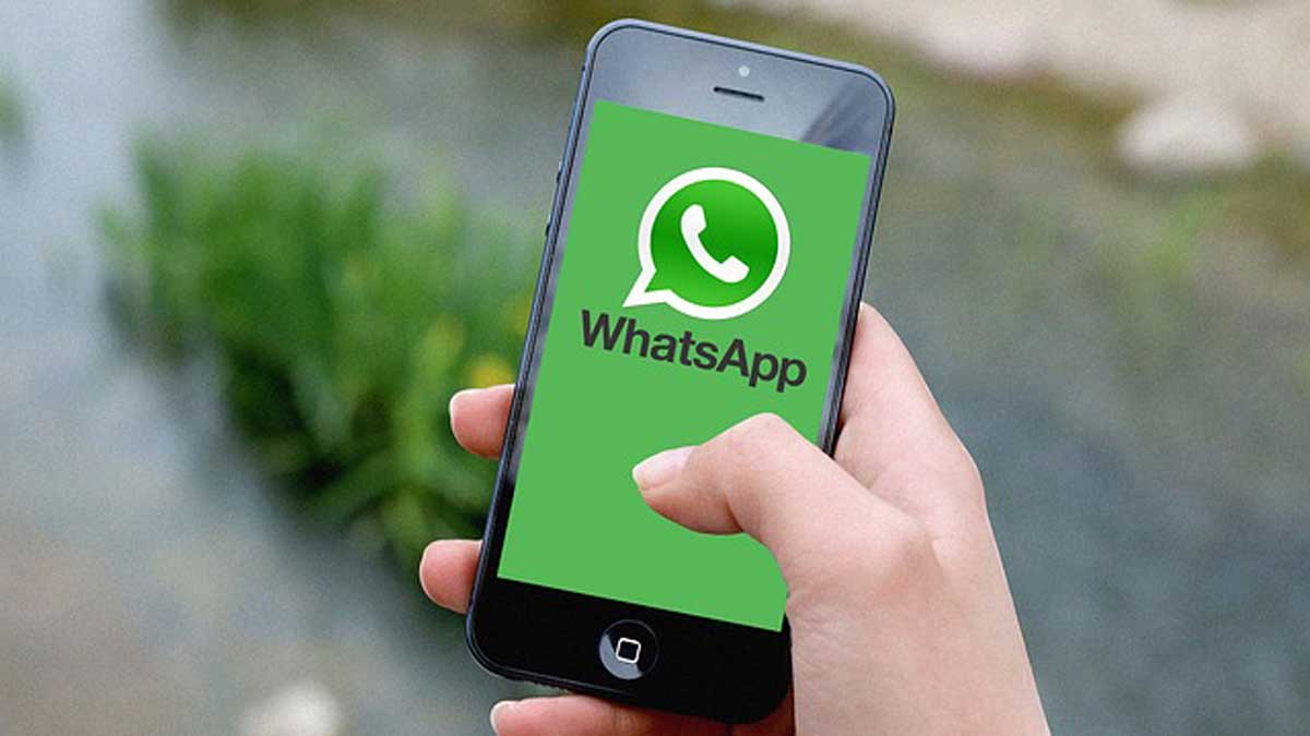 Mudah! Cara Mengetahui Nomor WhatsApp yang Paling Sering Dihubungi Pasangan