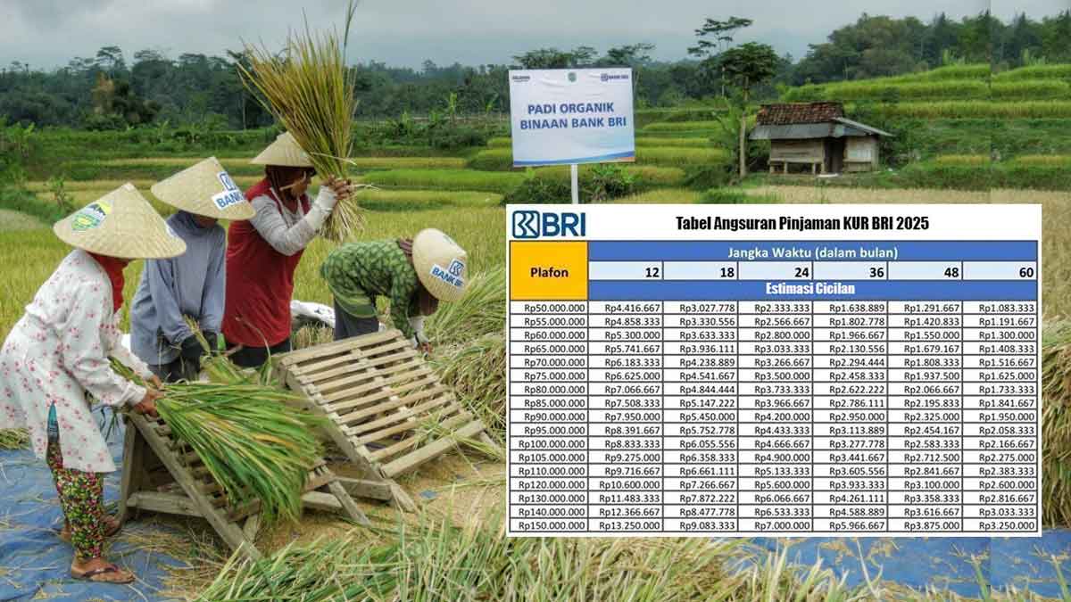 Cara dan Syarat Ajukan KUR BRI 2025 untuk Petani, Pedagang & Nelayan Lengkap dengan Angsuran