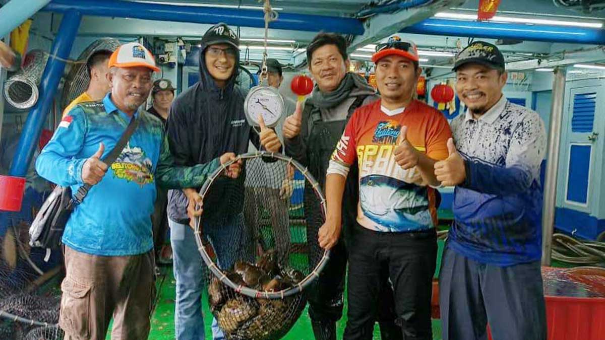 ﻿Penambang Timah di Belitung Sukses Beralih ke Budidaya Ikan Kerapu: Peluang Cuan Ekonomi Baru