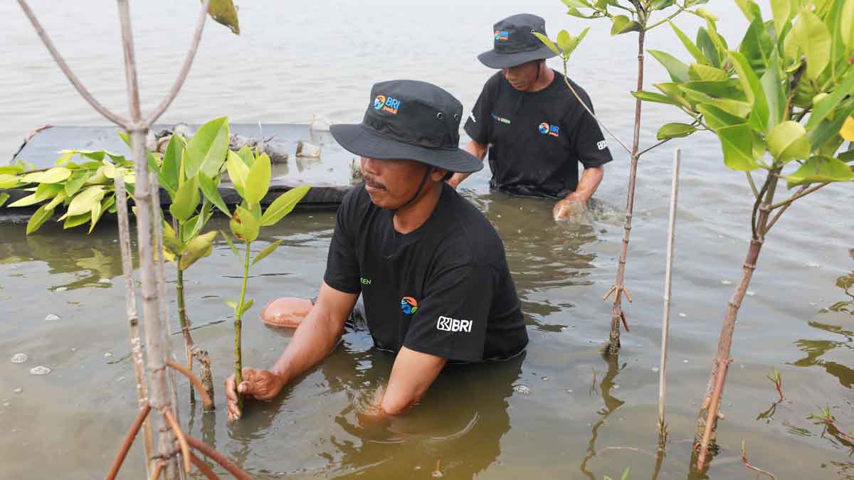 BRI Tegaskan Komitmen Jaga Lingkungan Lewat BRI Menanam – Grow & Green di Hari Lingkungan Hidup Sedunia