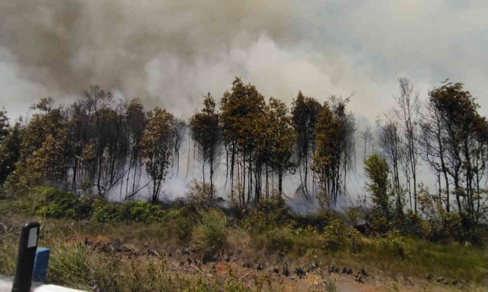 Kebakaran Hebat Hutan di Desa Keciput Makin Meluas, Hingga Malam Belum Juga Padam