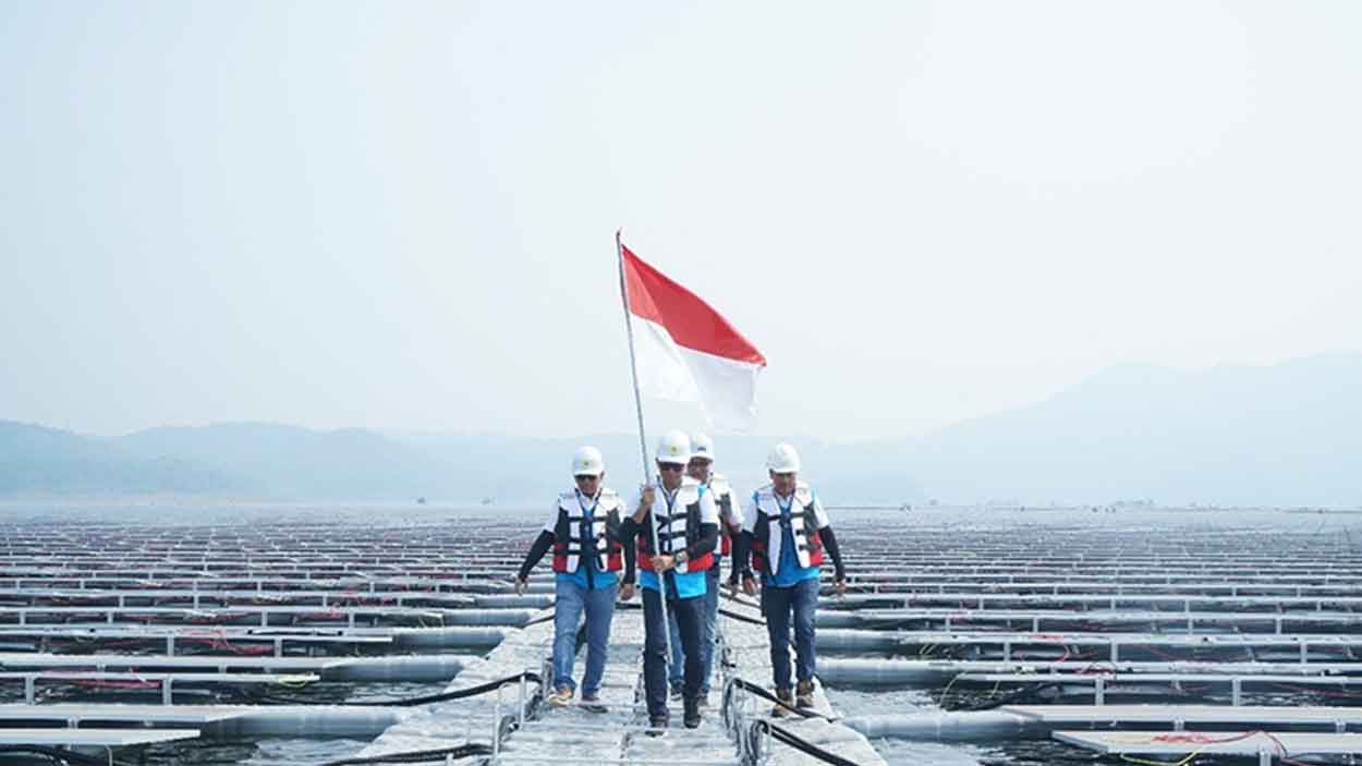 Green Financing BRI Tumbuh Capai Rp89,9 Triliun, Komitmen Dukung Pembangunan Berkelanjutan