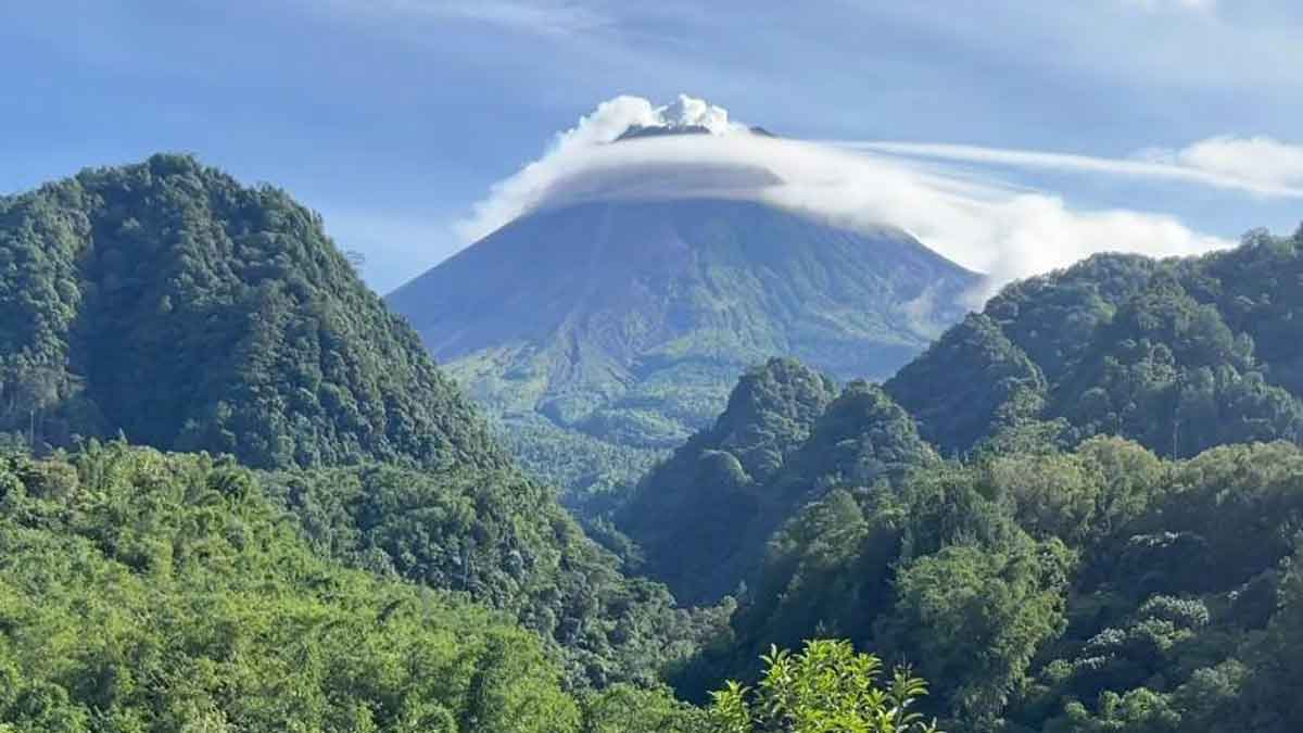 Desa BRILiaN Hargobinangun di Lereng Merapi: Inspirasi Sukses Kembangkan Pariwisata dan Agrikultur
