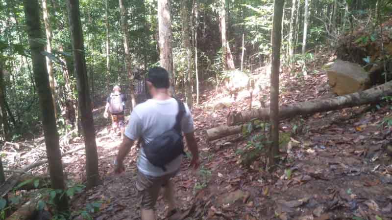 Illegal Logging di HL Gunung Tajam Diduga Dibekingi Oknum, Begini Respon Kapolsek Badau