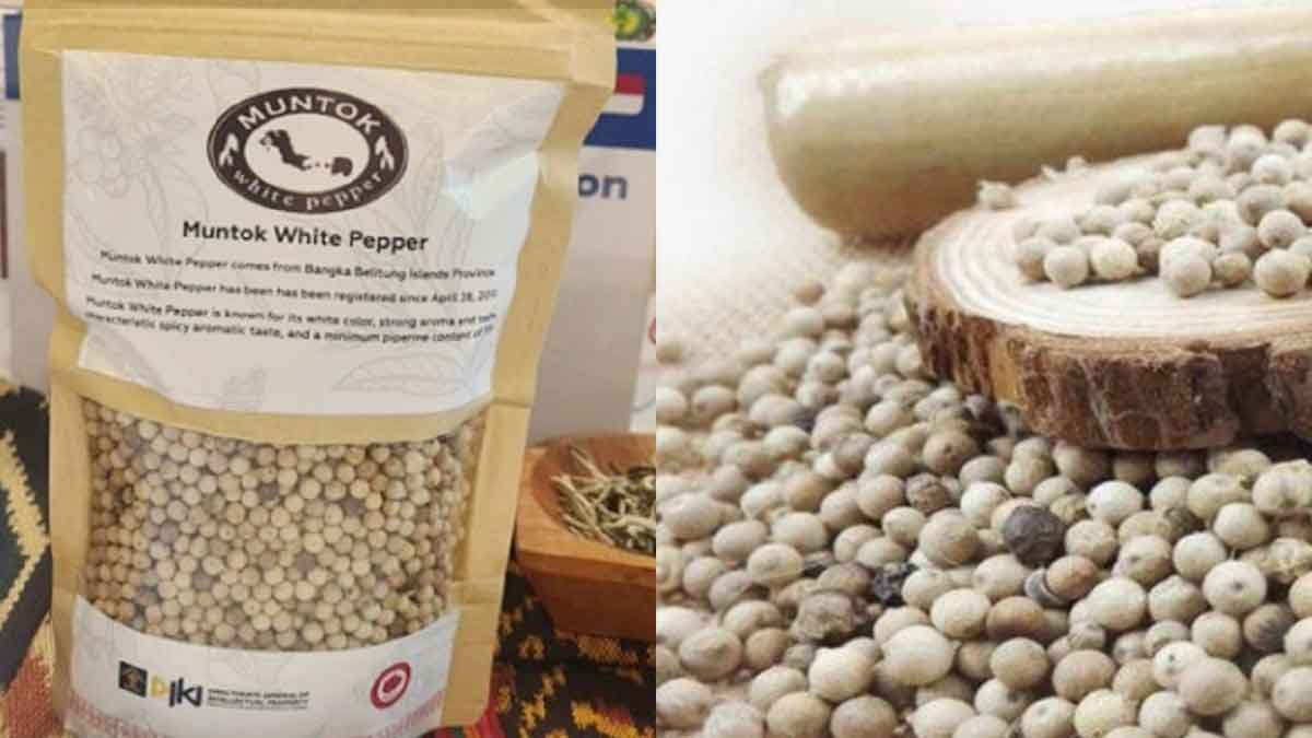 Belitung Disarankan Bangun Pusat Studi Lada Putih, Harapan Baru untuk Produksi & Ekspor Global