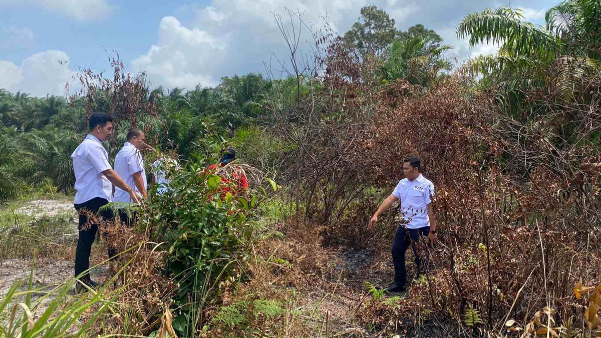 Kasus Pencabulan Anak SD Terbongkar, Teman Korban Pergoki Aksi Pelaku di Kebun