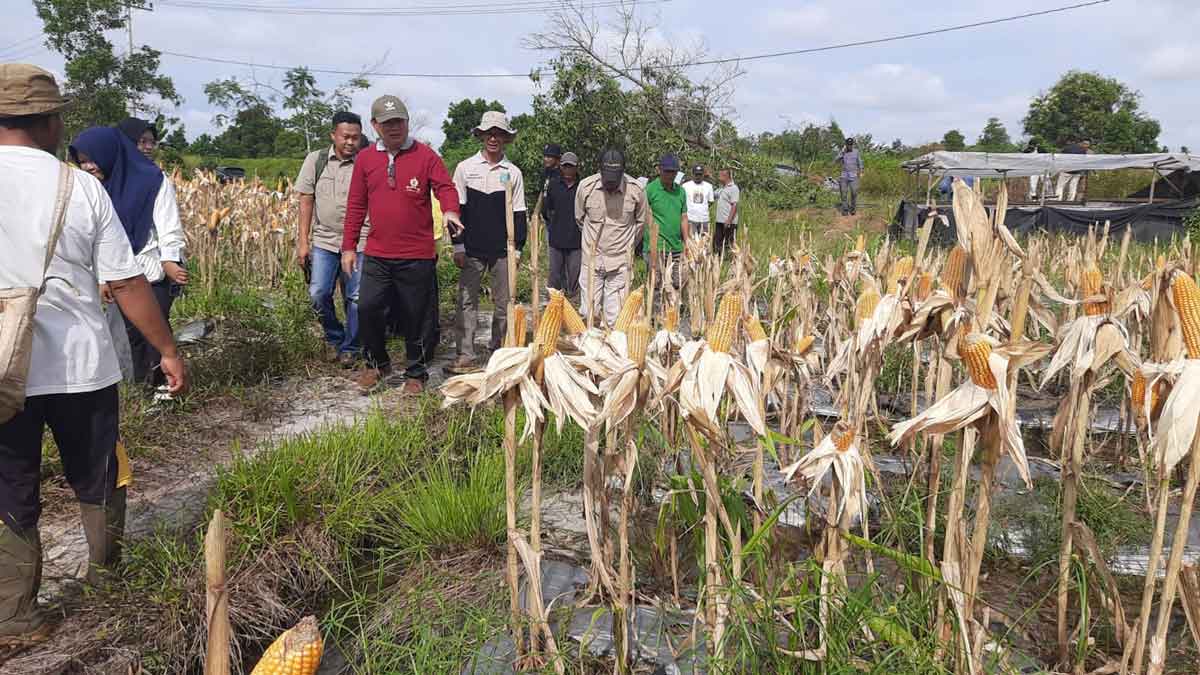Bupati Beltim Minta Distan Bantu Petani Tingkatkan Produksi Pertanian Lokal