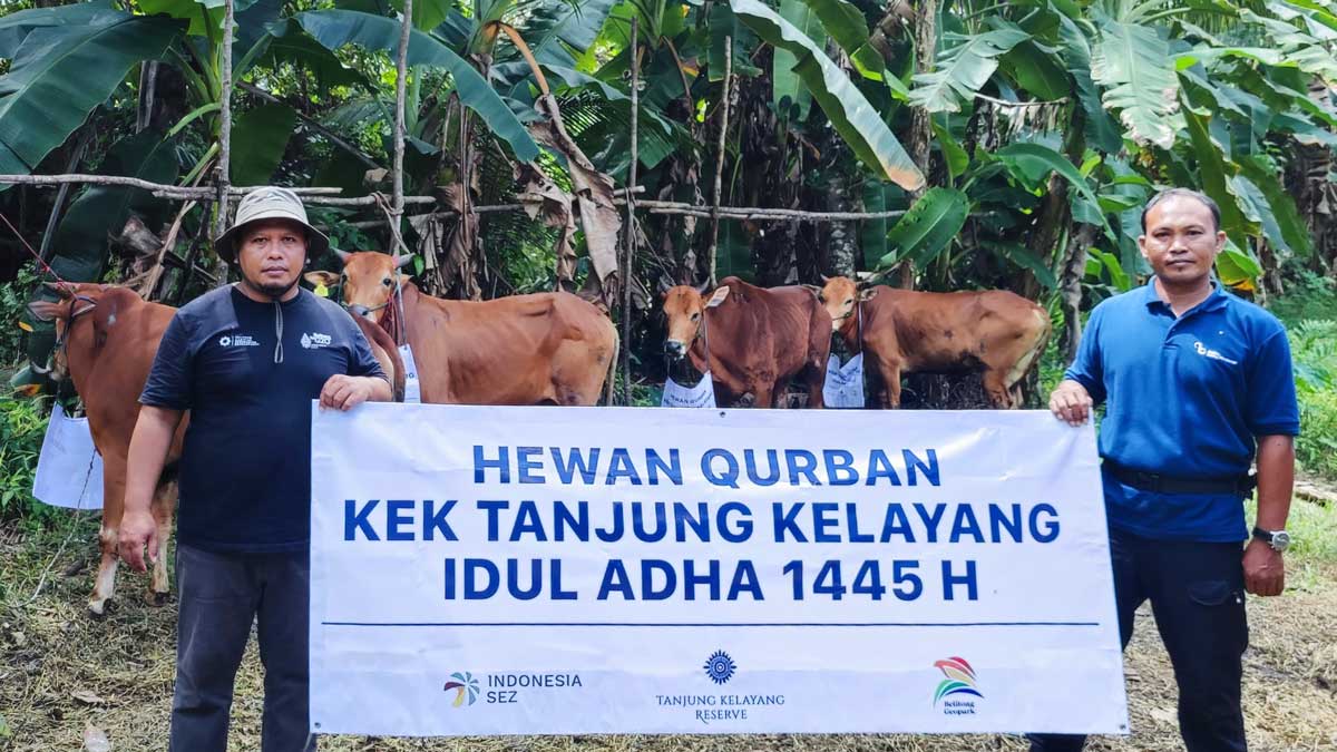 KEK Tanjung Kelayang Belitung Kembali Salurkan Hewan Kurban, Berbagi Berkah di Idul Adha 2024