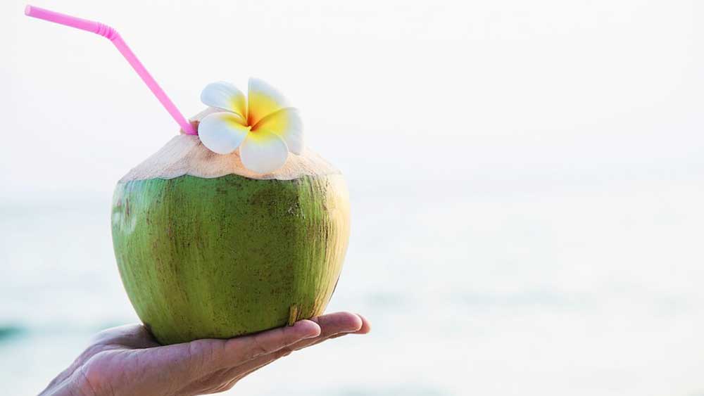 7 Kelompok Orang Tertentu yang Dianjurkan Minum Air Kelapa Muda