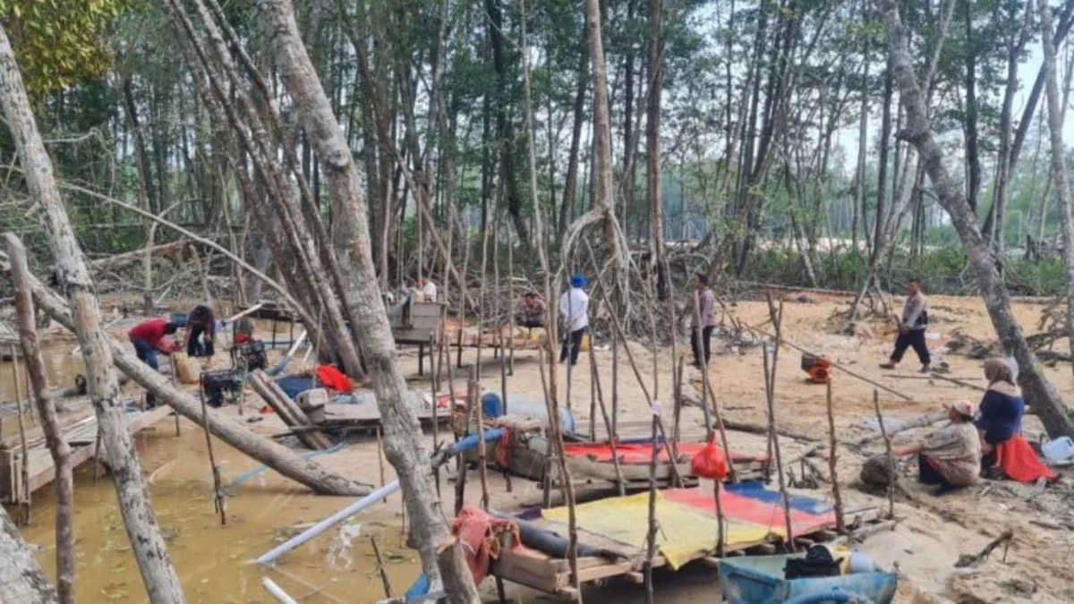 Kisah Penambang Timah Babel, Pilih Jalur Legal Demi Alam dan Keluarga