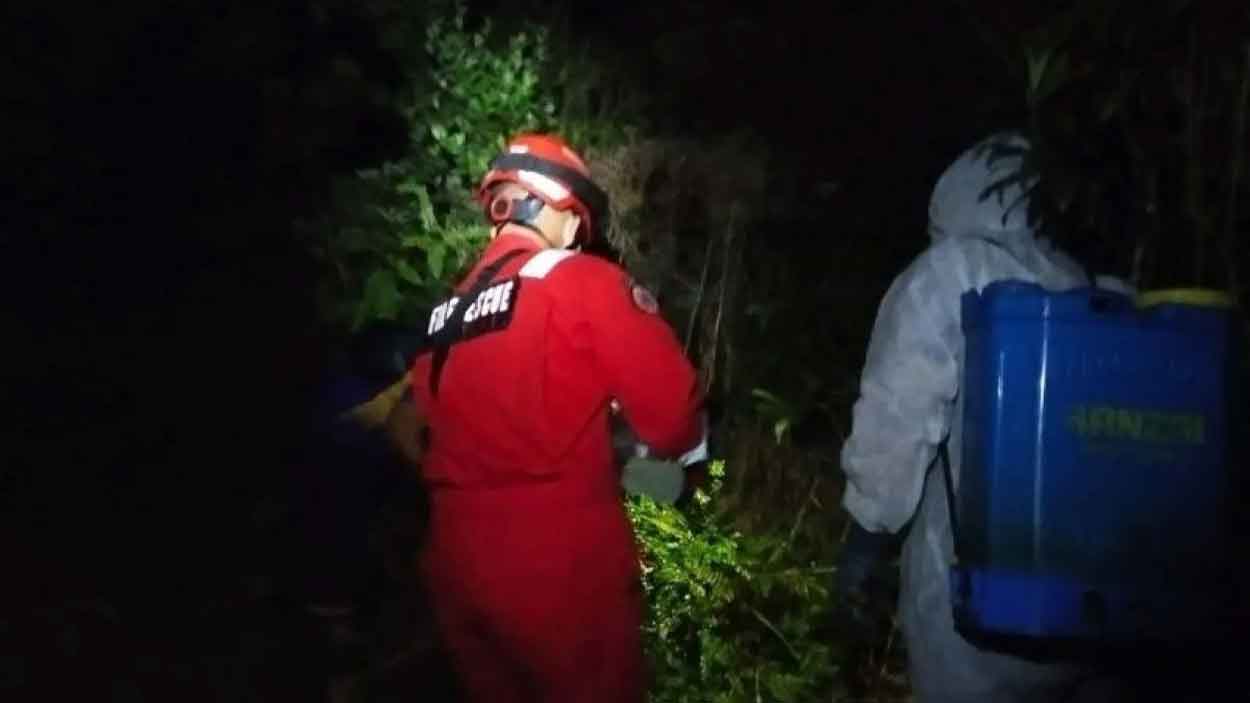 Cegah Sengatan Mematikan, Damkar BPBD Belitung Evakuasi Sarang Tawon Vespa Dari Kebun Warga