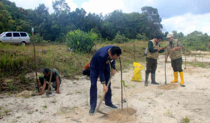 PT Pelindo Regional 2 Tanjungpandan Tanam Pohon Produktif, Gandeng Hkm Batu Bedil