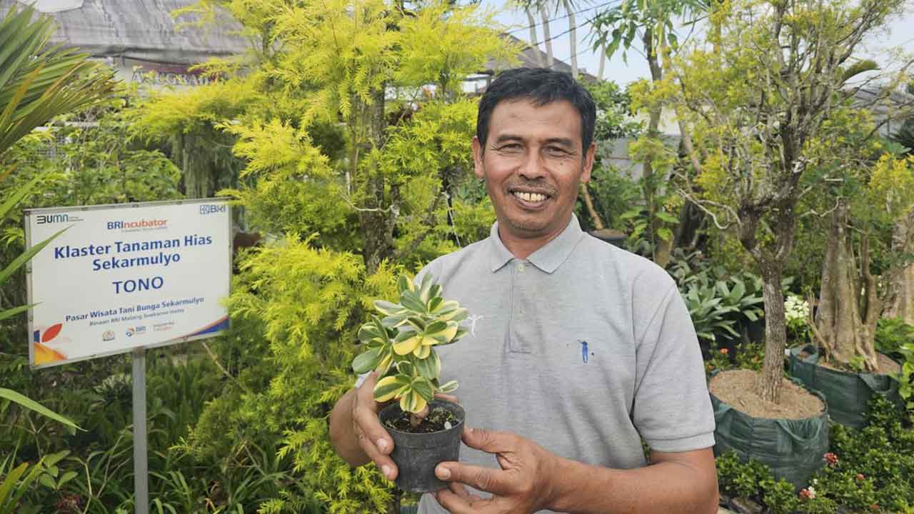 Kisah Klaster Usaha Tanaman Hias Binaan BRI, Kini Sukses Jadi Sumber Nafkah Warga Sekitar
