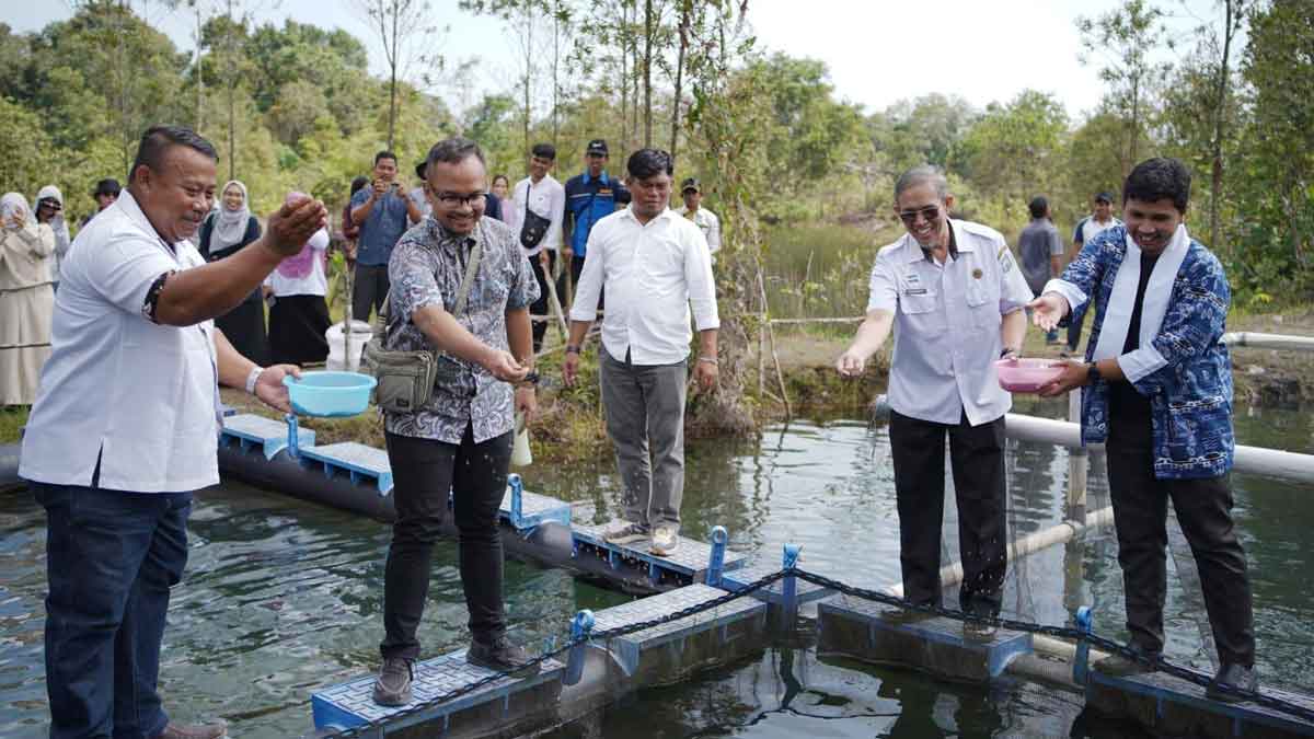 Lahan Bekas Tambang Belitung Disulap Jadi Tambak Ikan: Inovasi Perikanan Dorong Ekonomi Berkelanjutan