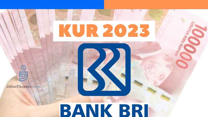 Kamu Harus Tahu, Ini Penyebab Pencairan KUR BRI 2023 Bisa Tertunda