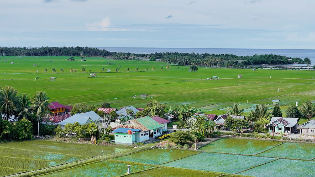 Desa BRILiaN Sausu Tambu Tembus Top 10 Nasional, Ekonomi Pesisir Tumbuh dari Potensi Lokal