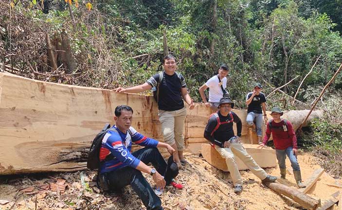 Ada Pembalakan Liar di HL Gunung Tajam,  Satreskrim Polres Belitung Hanya Temukan  Ini