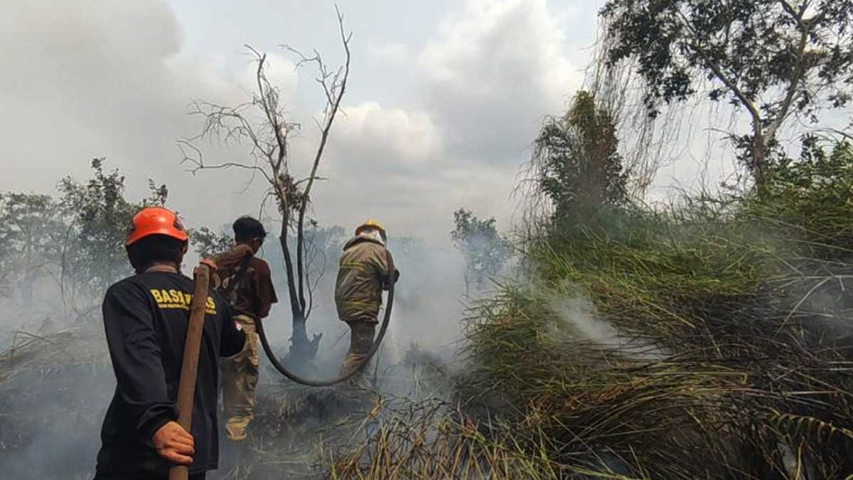 Berjuang Padamkan Karhutla, 5 Petugas BPBD Beltim Tumbang Akibat Asap Pekat