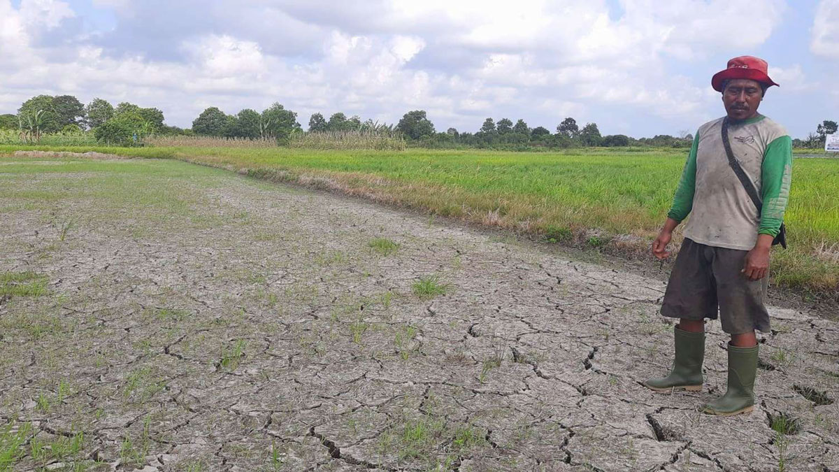 Prakirakan Puncak Musim Kemarau Babel 2026, Ini Prediksi BMKG