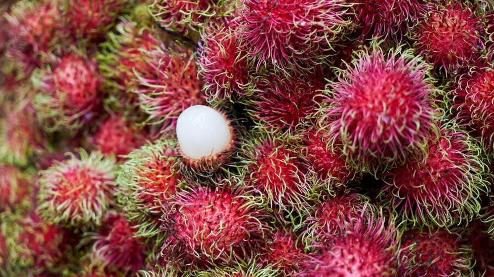 Manfaat Kulit Rambutan untuk Kesehatan dan Kecantikan, Ini 8 Khasiat yang Jarang Diketahui