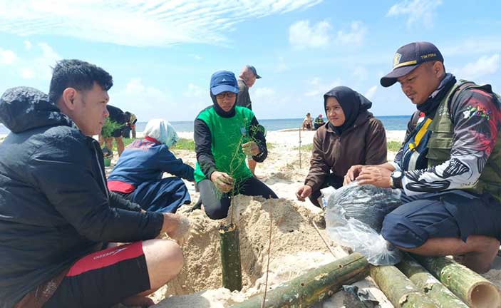 Jaga Kelestarian Pulau Penanas, PT Timah Tbk Bersama DLH Beltim Tanam Cemara Laut dan Bambu