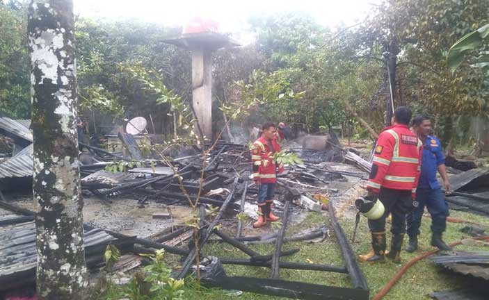 Gara-gara Mengusir Tawon, Gudang Khoirul di Desa Dukong Ludes Terbakar 