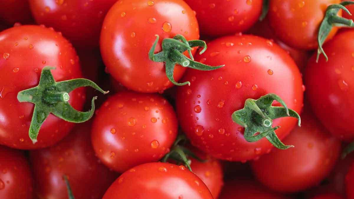 Penelitian Terbaru: Mengapa Konsumsi Tomat Dianjurkan untuk Menurunkan Risiko Hipertensi