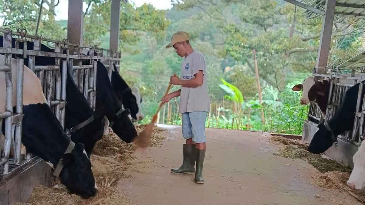 Didukung Pembiayaan & Transaksi BRI, Klaster Susu di Ponorogo Sukses Tingkatkan Kapasitas Produksi