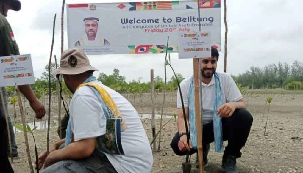 Belitung Dipilih Jadi lokasi Pusat Penelitian Mangrove Kelas Dunia Oleh UEA