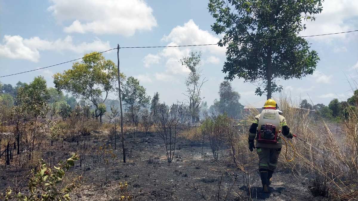 Karhutla di Belitung Timur Capai 233 Kejadian, Luas Lahan Terdampak 430 Hektare