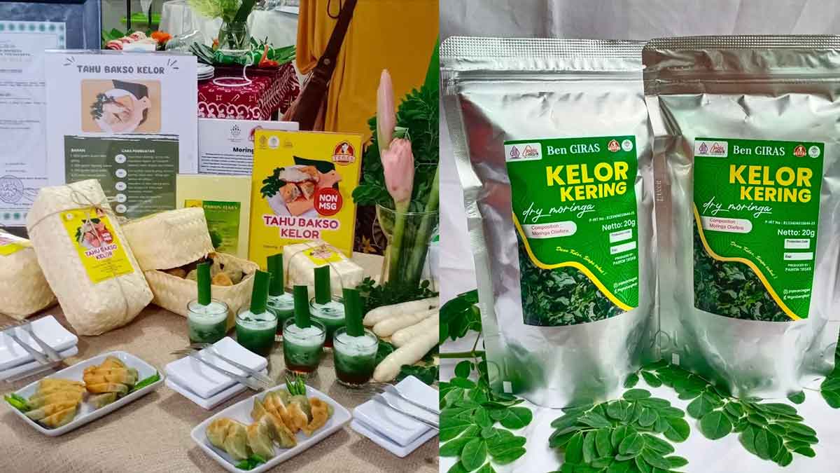 KUR BRI Jadi Kunci Sukses Pengusaha Wanita Sleman Olah Kelor Jadi Produk Pangan Unggulan