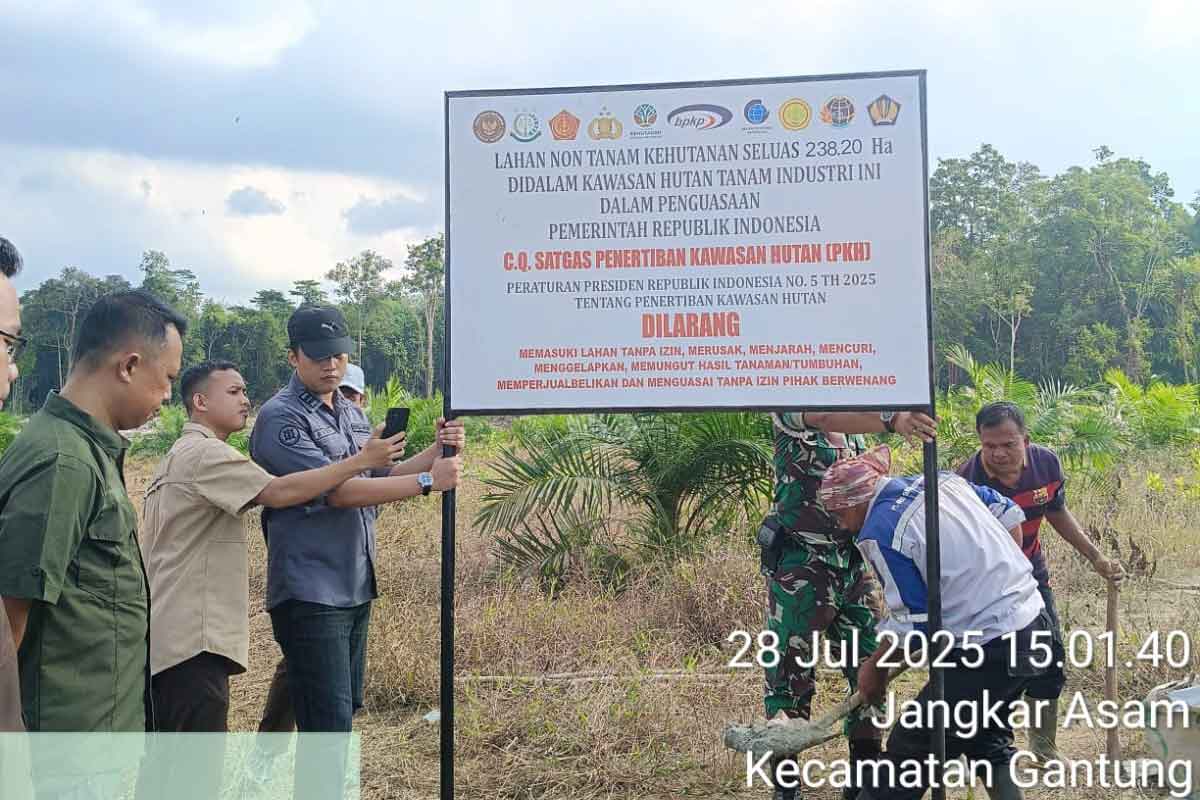 Negara Sita 1.098 Hektare Lahan Sawit di Beltim, Satgas PKH Pasang Plang Penertiban Kawasan Hutan