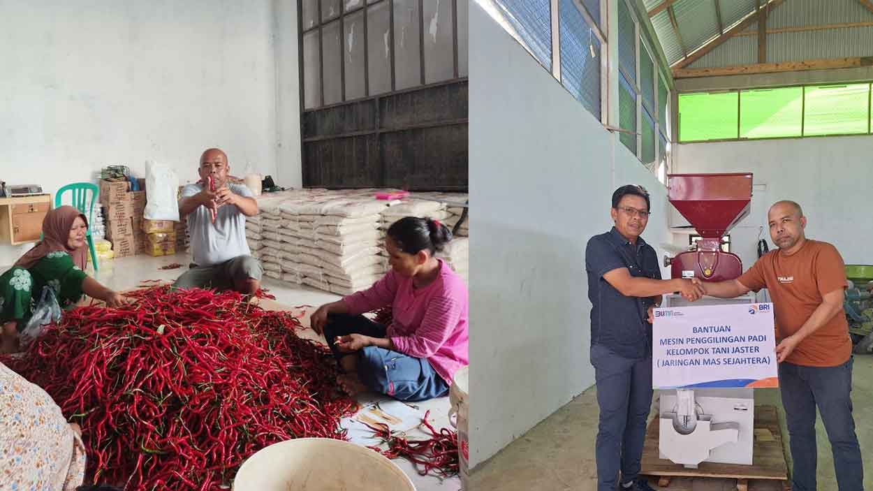 Perkuat Ketahanan Pangan, BRI Salurkan Pembiayaan KUR ke Koperasi Penyuplai Program Makan Bergizi Gratis