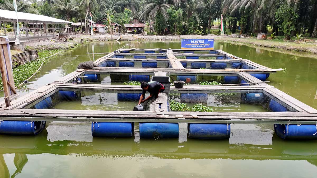 Desa Empang Baru Makin Bergeliat, Pemberdayaan BRI Dorong Ekonomi Warga