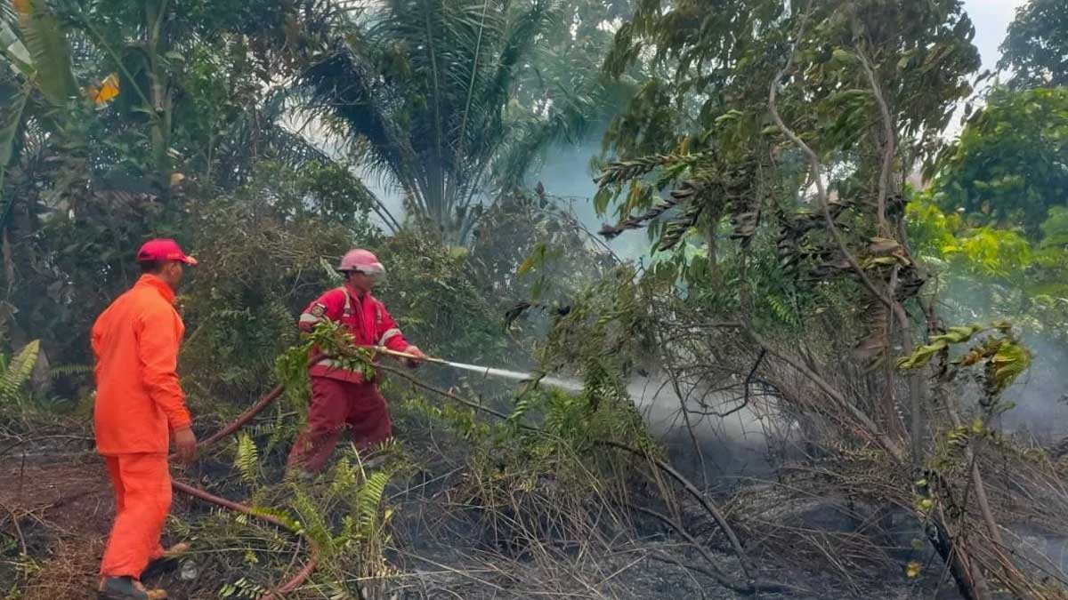 Karhutla 2026 Mengintai, Masyarakat Belitung Diimbau Waspada di Tengah Cuaca Panas