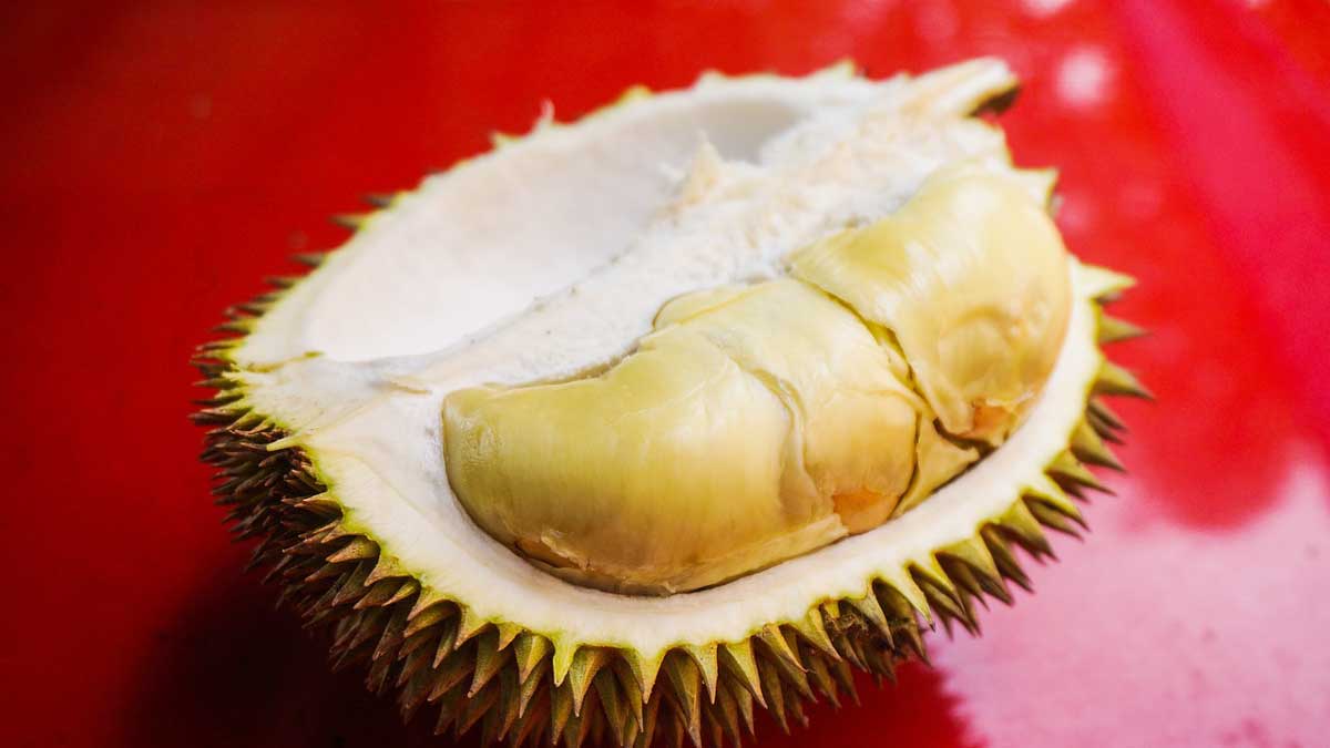 Makanan dan Minuman yang Sebaiknya Tidak Dikonsumsi Bareng Durian, Ini Resikonya