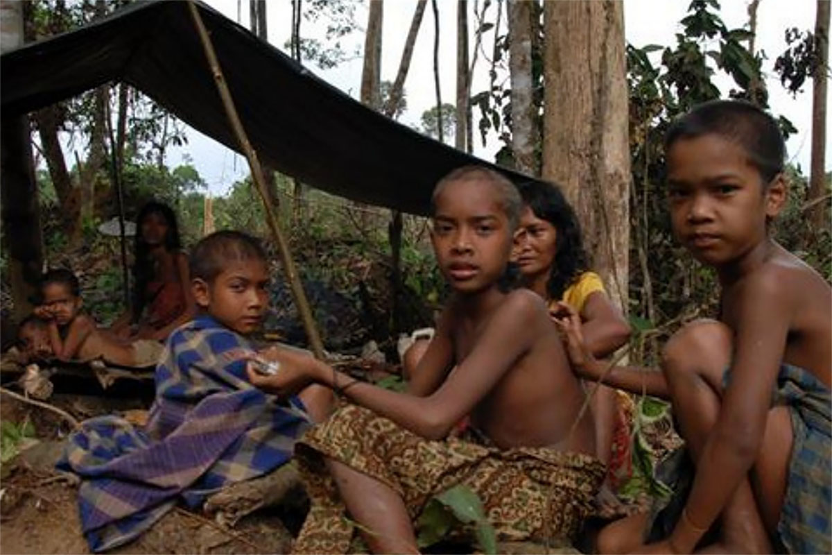 Mengenal Lebih Dekat Suku Anak Dalam, Suku Primitif Jambi yang Tinggal di Hutan Rimba