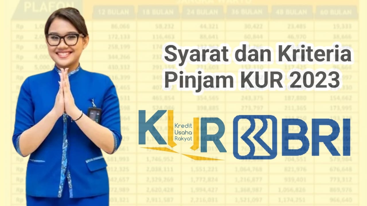 Mau Dapat Pinjaman KUR BRI 2023? Ini Kriteria UMKM yang Dimudahkan 