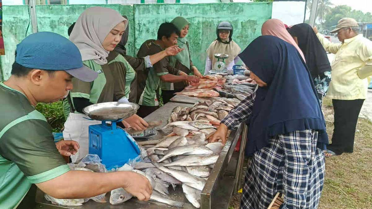 Bazar Ikan Murah Belitung, Harga Mulai Rp15 Ribu per Kilogram