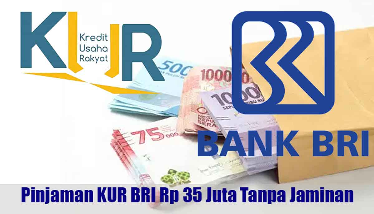 Cara Mudah dan Cepat Ajukan KUR BRI 2024: Pinjaman Rp 35 Juta dengan Cicilan Ringan!