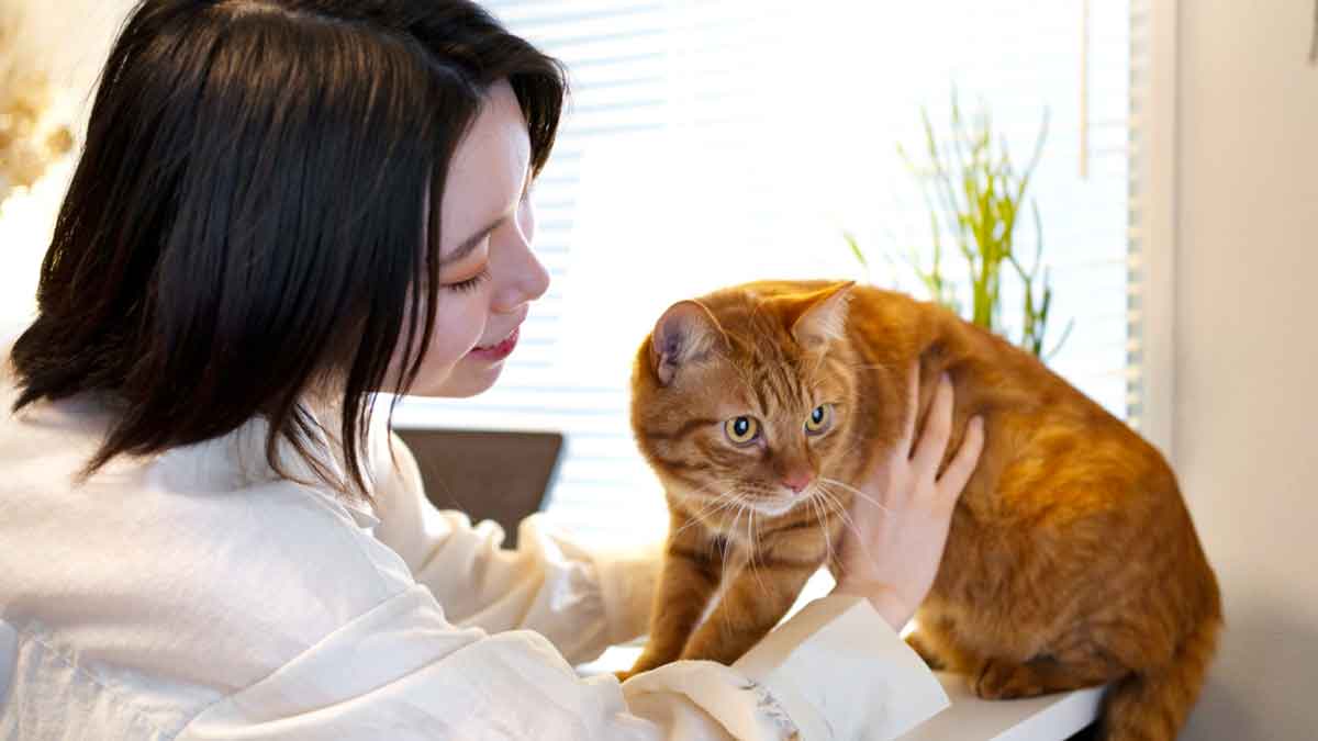 Bukti Ilmiah: 7 Manfaat Pelihara Kucing di Rumah Menurut Penelitian